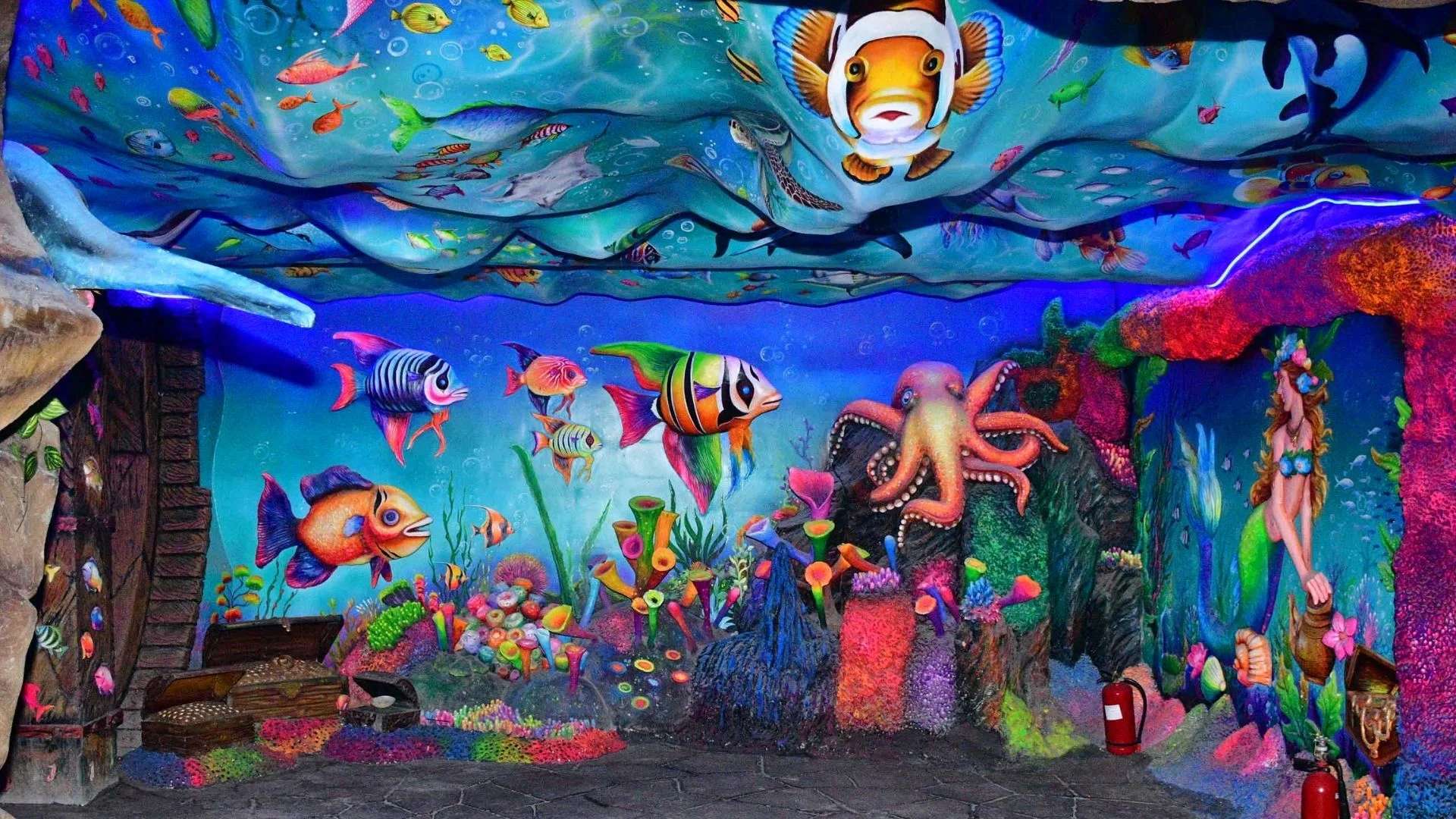 Why Schools Choose Aquarium Trips?